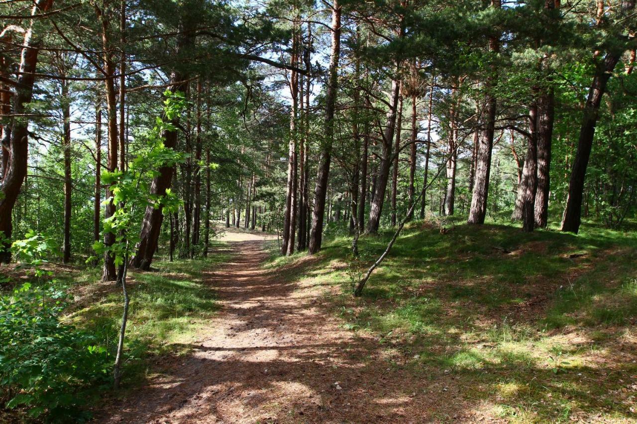 Welcome Sun Republic Apartments Saulkrasti Zewnętrze zdjęcie